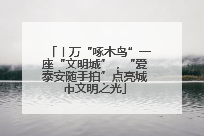 十万“啄木鸟”一座“文明城”，“爱泰安随手拍”点亮城市文明之光