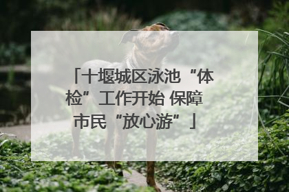 十堰城区泳池“体检”工作开始 保障市民“放心游”