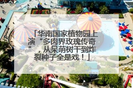 华南国家植物园上演“多肉界玫瑰传奇”，从呆萌树干到炸裂种子全是戏！