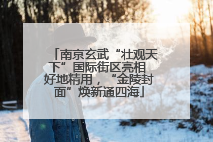 南京玄武“壮观天下”国际街区亮相 好地精用，“金陵封面”焕新通四海