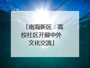 南海新区：高校社区开展中外文化交流