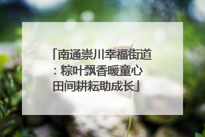 南通崇川幸福街道：粽叶飘香暖童心 田间耕耘助成长