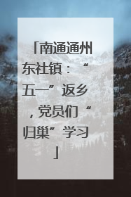 南通通州东社镇：“五一”返乡，党员们“归巢”学习