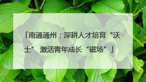 南通通州：深耕人才培育“沃土” 激活青年成长“磁场”