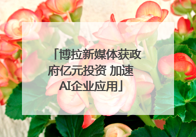 博拉新媒体获政府亿元投资 加速AI企业应用