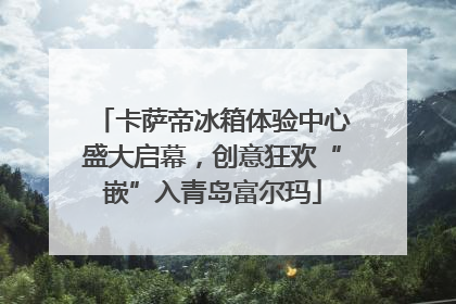 卡萨帝冰箱体验中心盛大启幕，创意狂欢“嵌”入青岛富尔玛