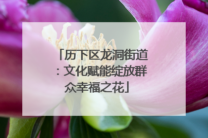 历下区龙洞街道：文化赋能绽放群众幸福之花