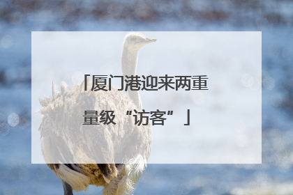 厦门港迎来两重量级“访客”