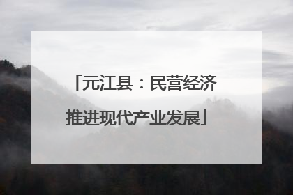 元江县：民营经济推进现代产业发展