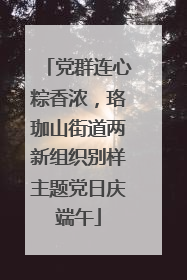 党群连心粽香浓，珞珈山街道两新组织别样主题党日庆端午