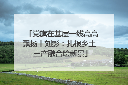 党旗在基层一线高高飘扬丨刘影：扎根乡土 三产融合绘新景