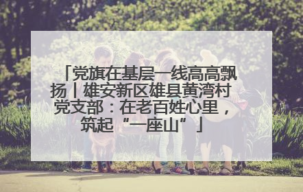 党旗在基层一线高高飘扬丨雄安新区雄县黄湾村党支部：在老百姓心里，筑起“一座山”