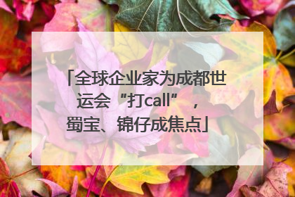 全球企业家为成都世运会“打call”，蜀宝、锦仔成焦点