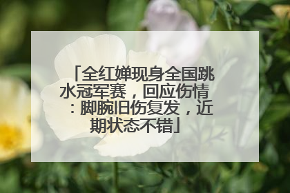 全红婵现身全国跳水冠军赛，回应伤情：脚腕旧伤复发，近期状态不错