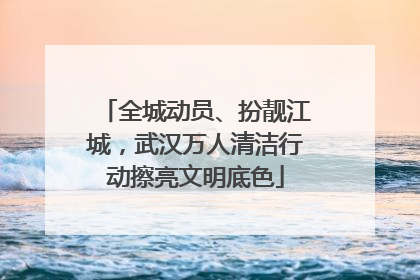 全城动员、扮靓江城，武汉万人清洁行动擦亮文明底色