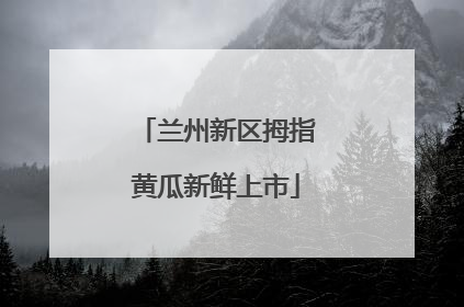 兰州新区拇指黄瓜新鲜上市