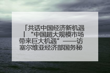 共话中国经济新机遇丨“中国超大规模市场带来巨大机遇”——访塞尔维亚经济部国务秘书尼科利奇