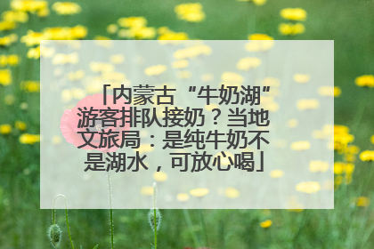 内蒙古“牛奶湖”游客排队接奶？当地文旅局：是纯牛奶不是湖水，可放心喝
