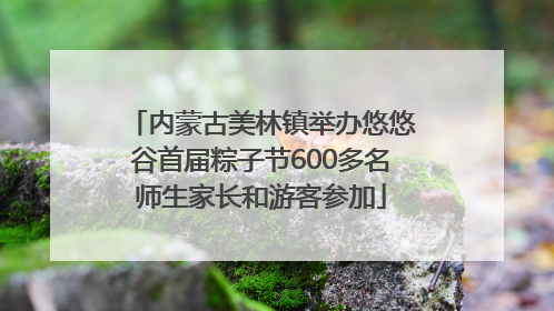 内蒙古美林镇举办悠悠谷首届粽子节600多名师生家长和游客参加