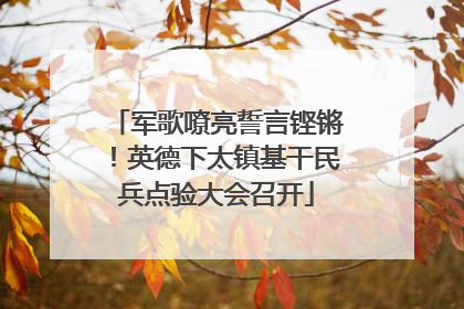 军歌嘹亮誓言铿锵！英德下太镇基干民兵点验大会召开
