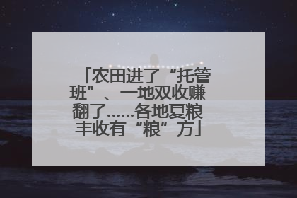 农田进了“托管班”、一地双收赚翻了……各地夏粮丰收有“粮”方