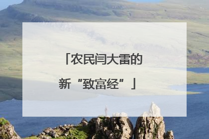 农民闫大雷的新“致富经”