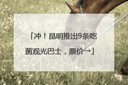冲！昆明推出9条吃菌观光巴士，票价→