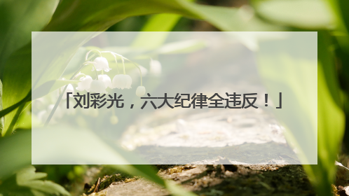 刘彩光，六大纪律全违反！