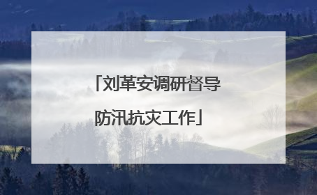 刘革安调研督导防汛抗灾工作