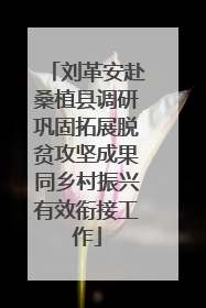 刘革安赴桑植县调研巩固拓展脱贫攻坚成果同乡村振兴有效衔接工作
