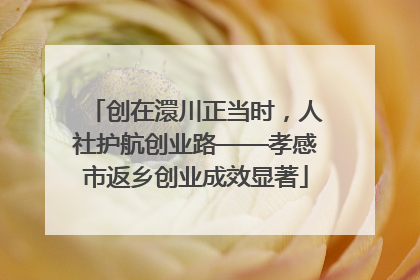 创在澴川正当时，人社护航创业路——孝感市返乡创业成效显著