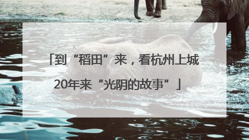 到“稻田”来，看杭州上城20年来“光阴的故事”