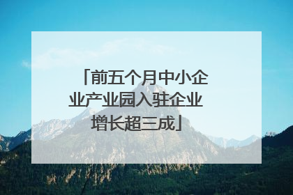 前五个月中小企业产业园入驻企业增长超三成