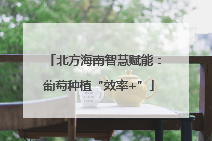 北方海南智慧赋能：葡萄种植“效率+”