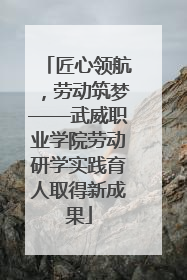 匠心领航，劳动筑梦——武威职业学院劳动研学实践育人取得新成果
