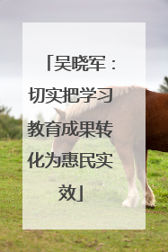 吴晓军：切实把学习教育成果转化为惠民实效
