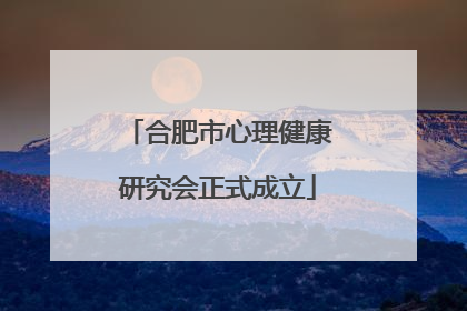 合肥市心理健康研究会正式成立