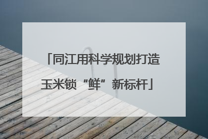 同江用科学规划打造玉米锁“鲜”新标杆