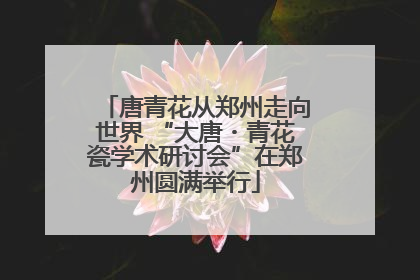 唐青花从郑州走向世界 “大唐・青花瓷学术研讨会”在郑州圆满举行