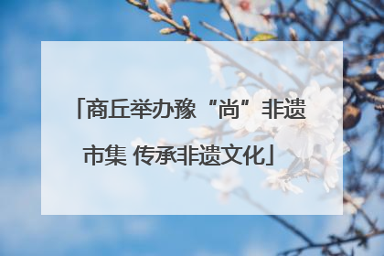商丘举办豫“尚”非遗市集 传承非遗文化