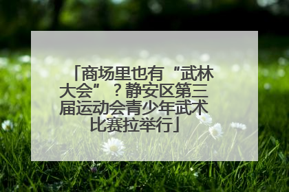 商场里也有“武林大会”？静安区第三届运动会青少年武术比赛拉举行