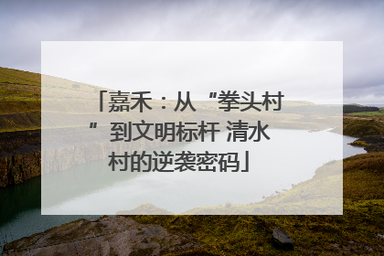 嘉禾：从“拳头村”到文明标杆 清水村的逆袭密码