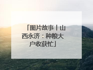 图片故事丨山西永济：种粮大户收获忙