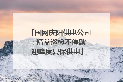 国网庆阳供电公司：精益巡检不停歇 迎峰度夏保供电