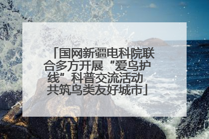 国网新疆电科院联合多方开展“爱鸟护线”科普交流活动 共筑鸟类友好城市