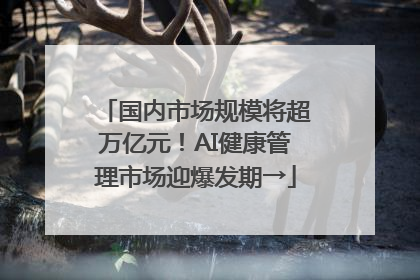 国内市场规模将超万亿元！AI健康管理市场迎爆发期→