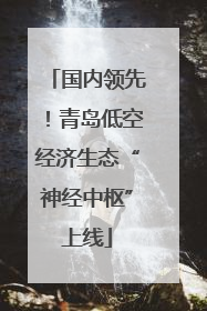 国内领先！青岛低空经济生态“神经中枢”上线