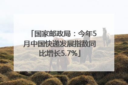 国家邮政局：今年5月中国快递发展指数同比增长5.7%