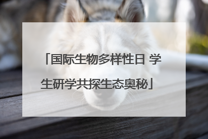 国际生物多样性日 学生研学共探生态奥秘