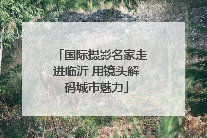 国际摄影名家走进临沂 用镜头解码城市魅力